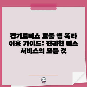 경기도버스 호출 앱 똑타 이용 가이드: 편리한 버스 서비스의 모든 것