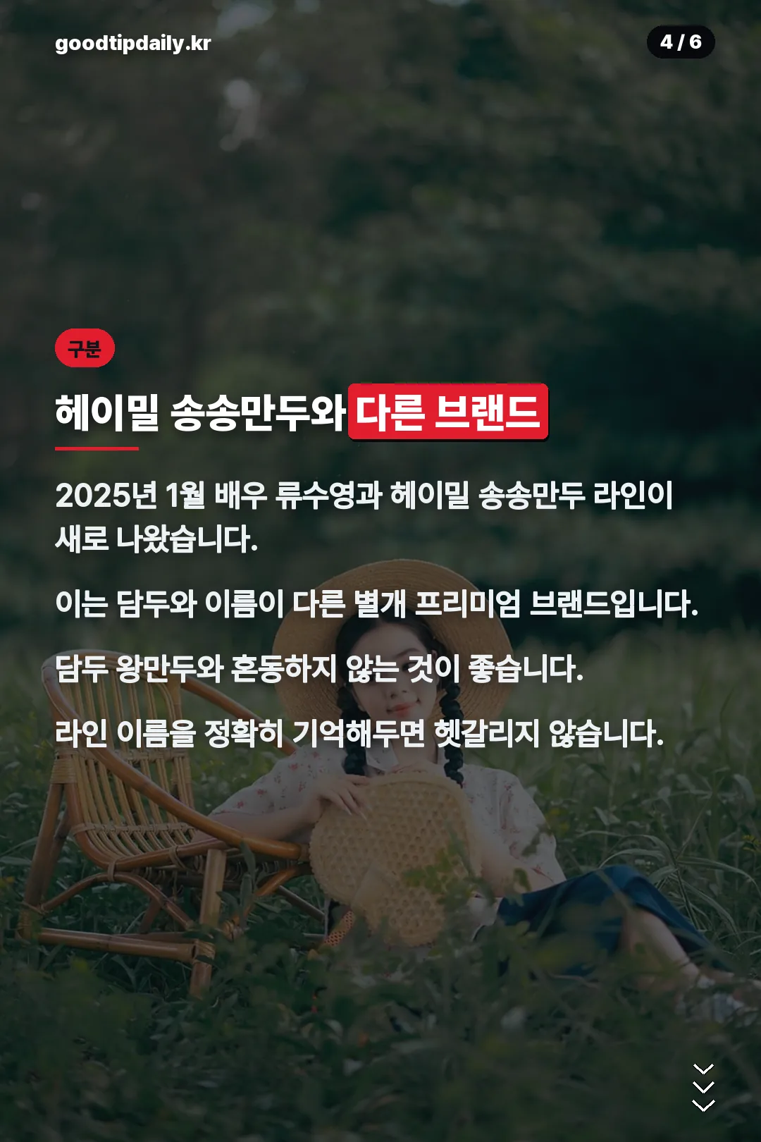 헤이밀 송송만두와 구분