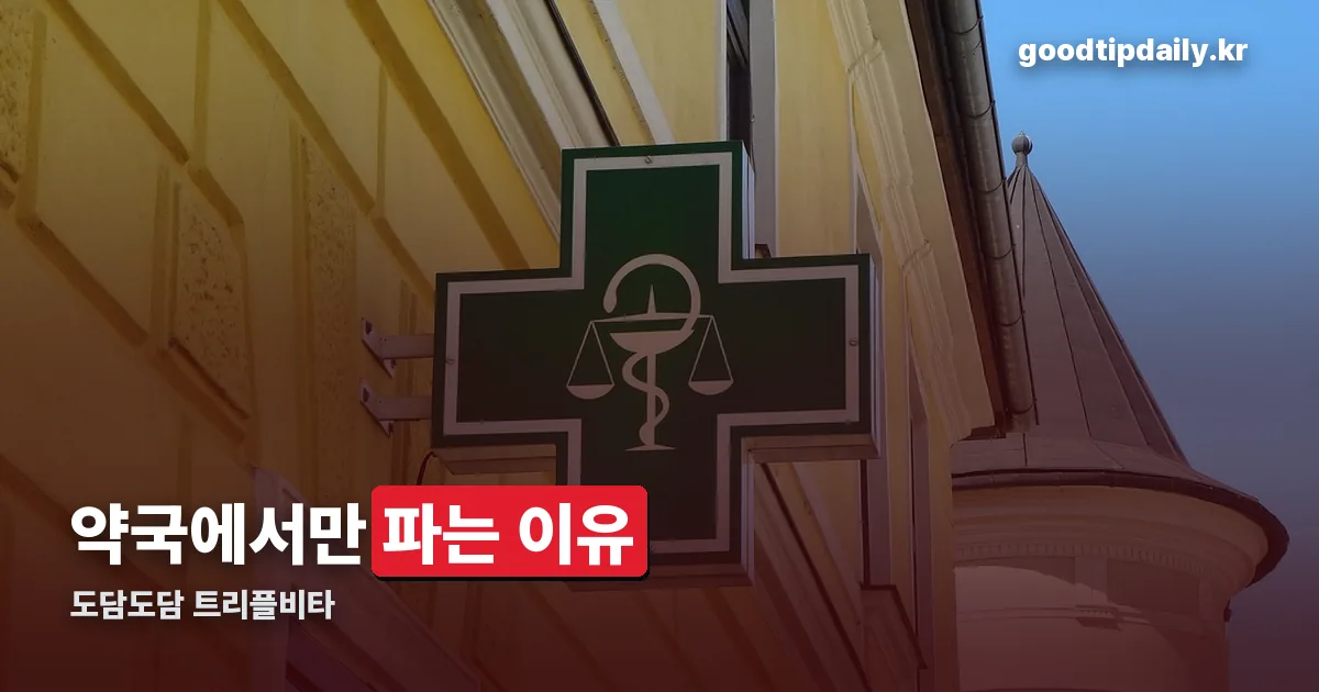 도담도담 트리플비타 정리 썸네일