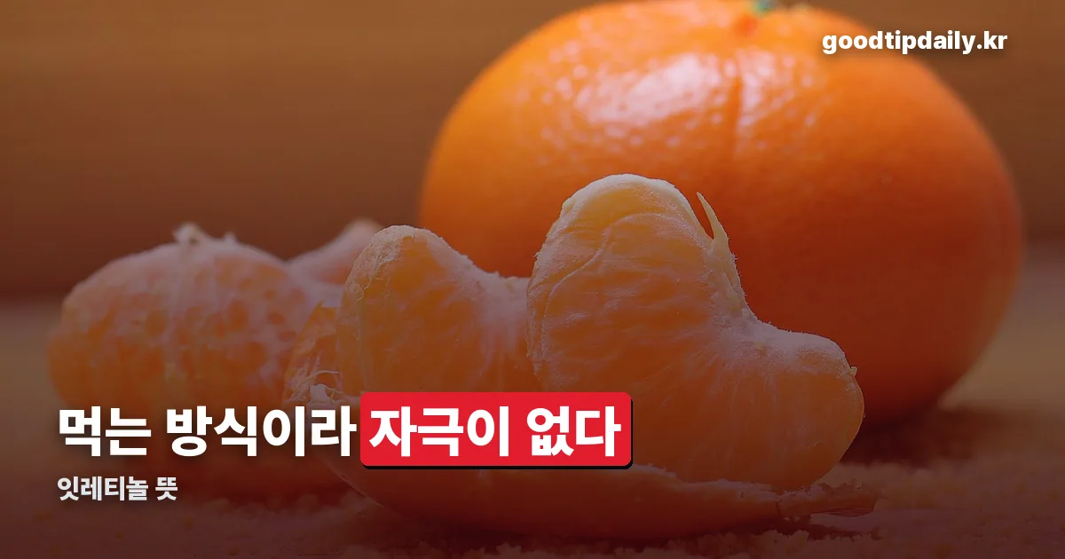 잇레티놀 정리 썸네일