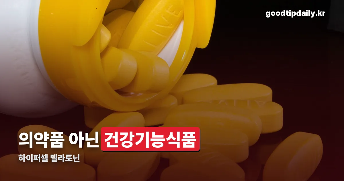 하이퍼셀 멜라토닌 정리 썸네일