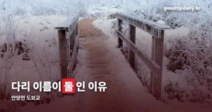 안양천 도보교 — 정식 이름은 금천한내교, 2021년 개통