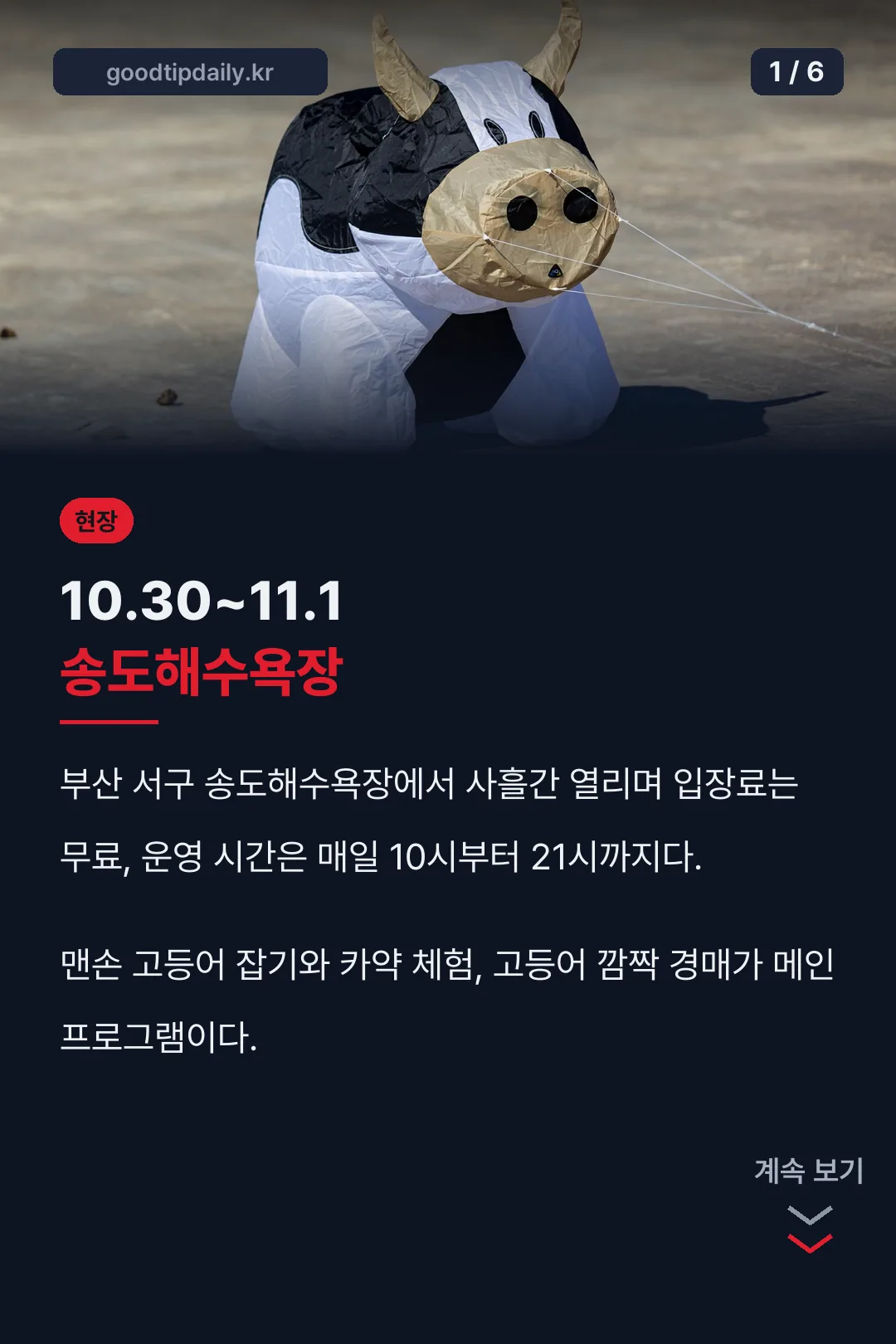 부산고등어축제 한눈에 정리
