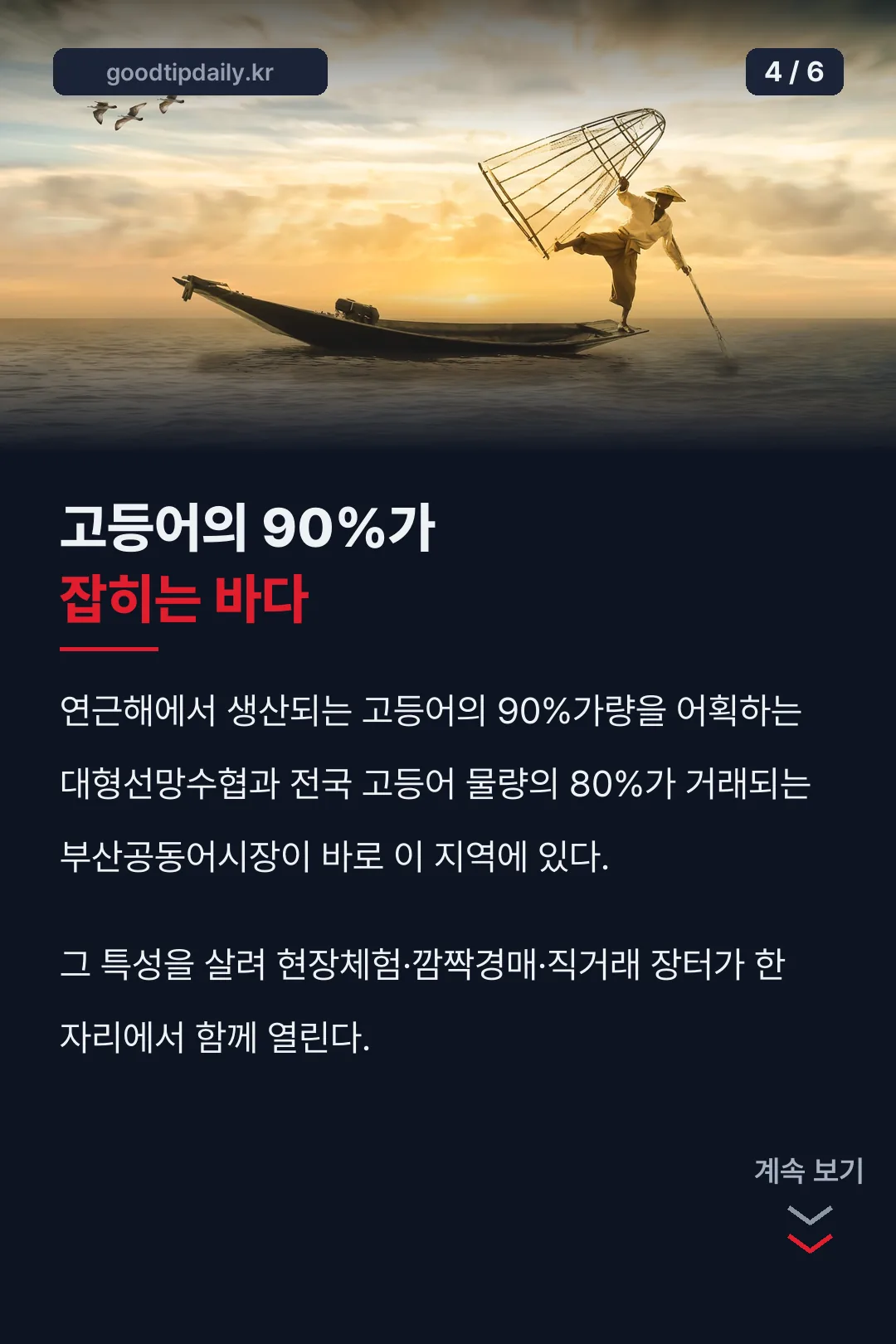 고등어 어획 90%의 바다
