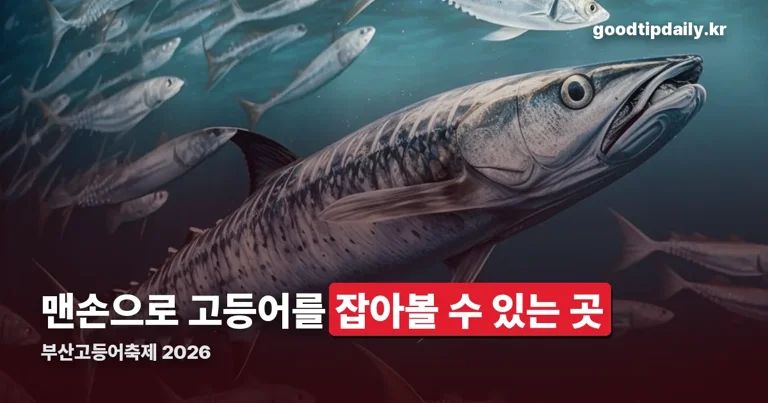 부산고등어축제 정리 썸네일