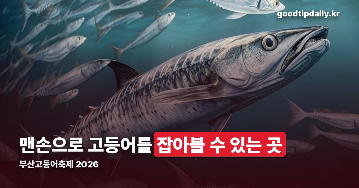 부산고등어축제 정리 썸네일