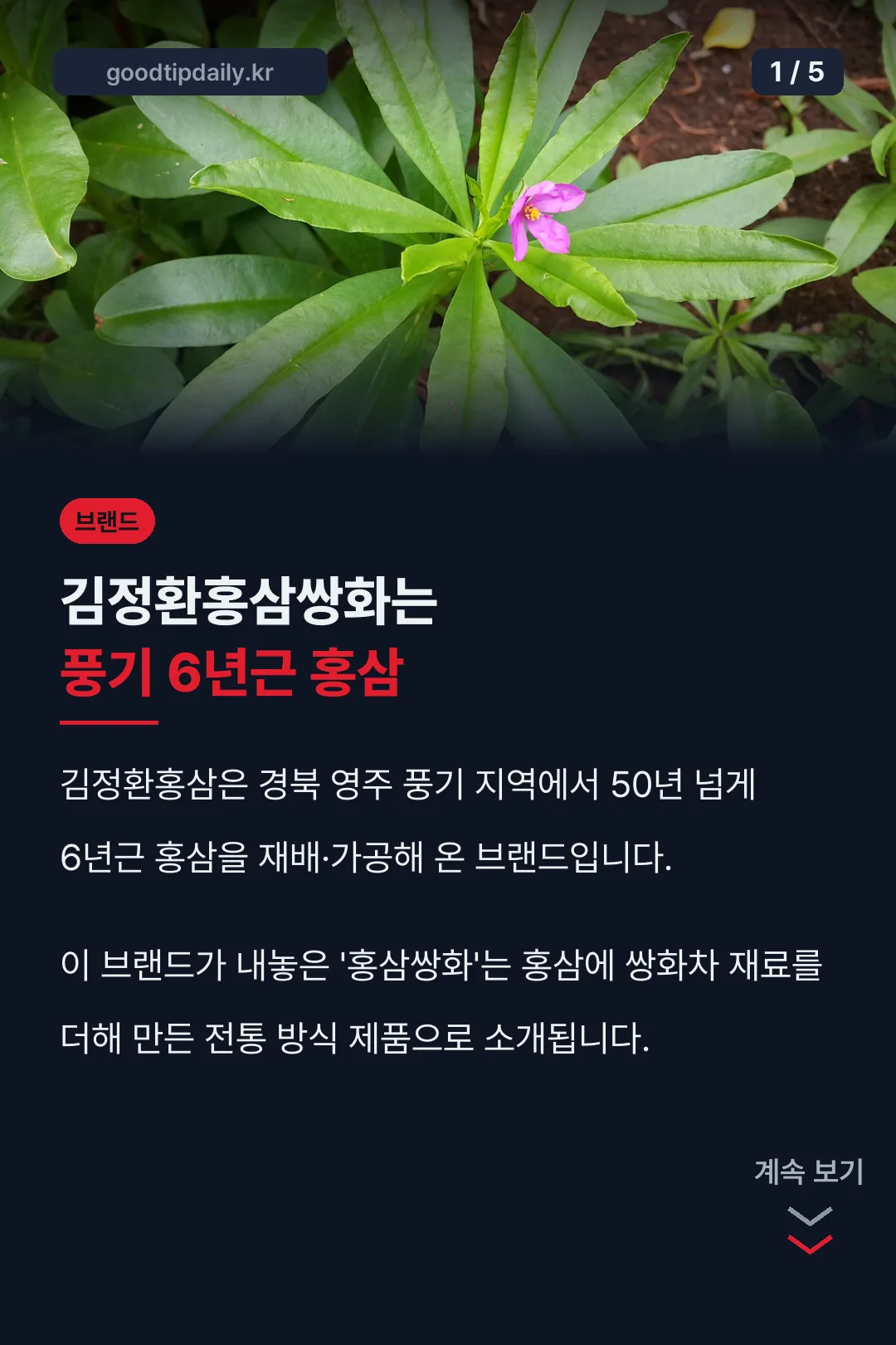 브랜드 배경