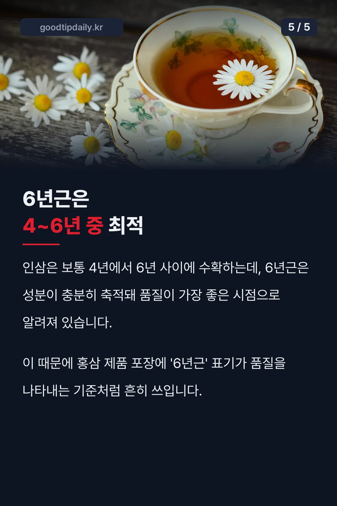 6년근이 품질 기준인 이유
