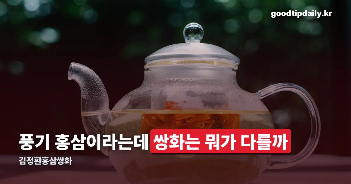 김정환홍삼쌍화 정리 썸네일