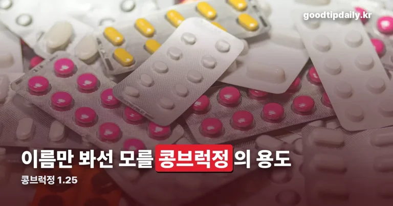 콩브럭정 1.25 정리 썸네일
