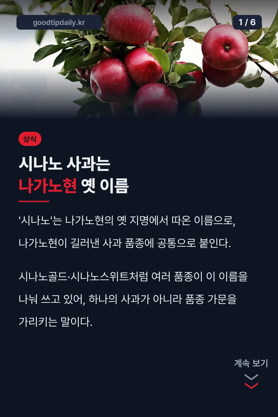 시나노 사과는 나가노현 옛 이름