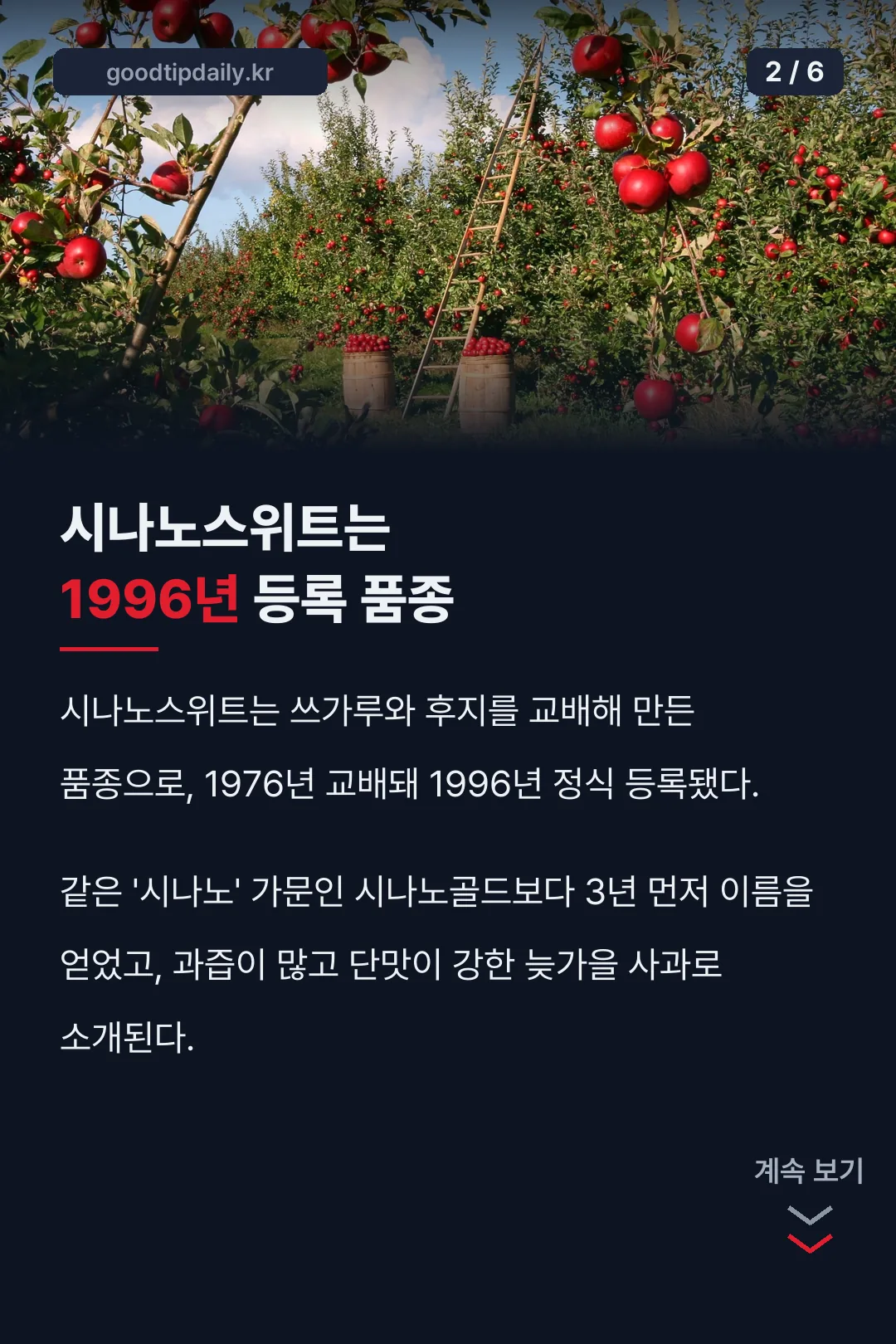 시나노스위트는 1996년 등록 품종