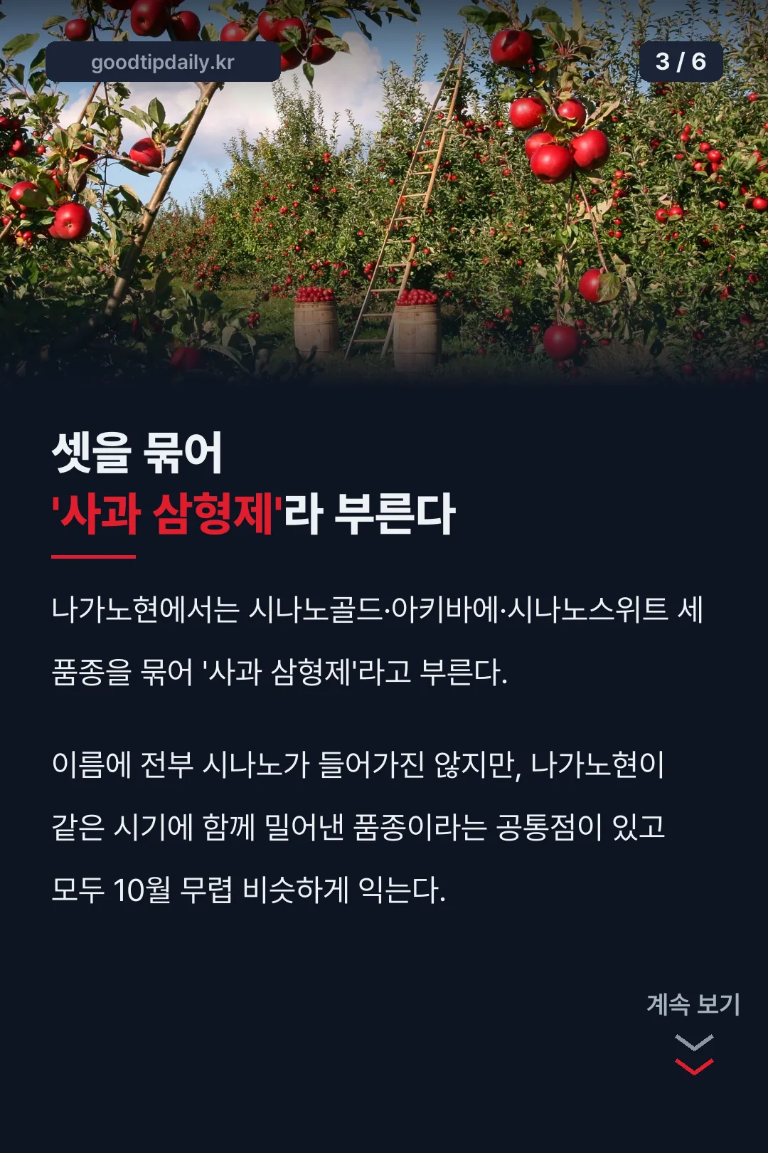 셋을 묶어 사과 삼형제라 부른다