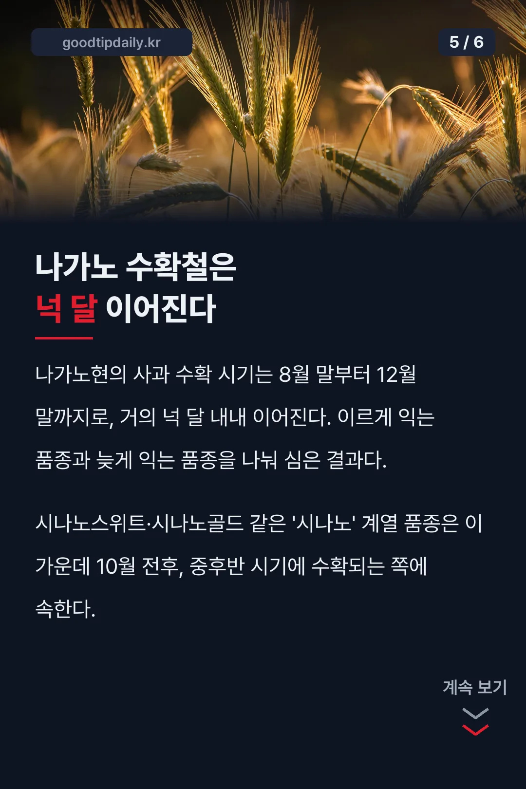 나가노 수확철은 넉 달 이어진다