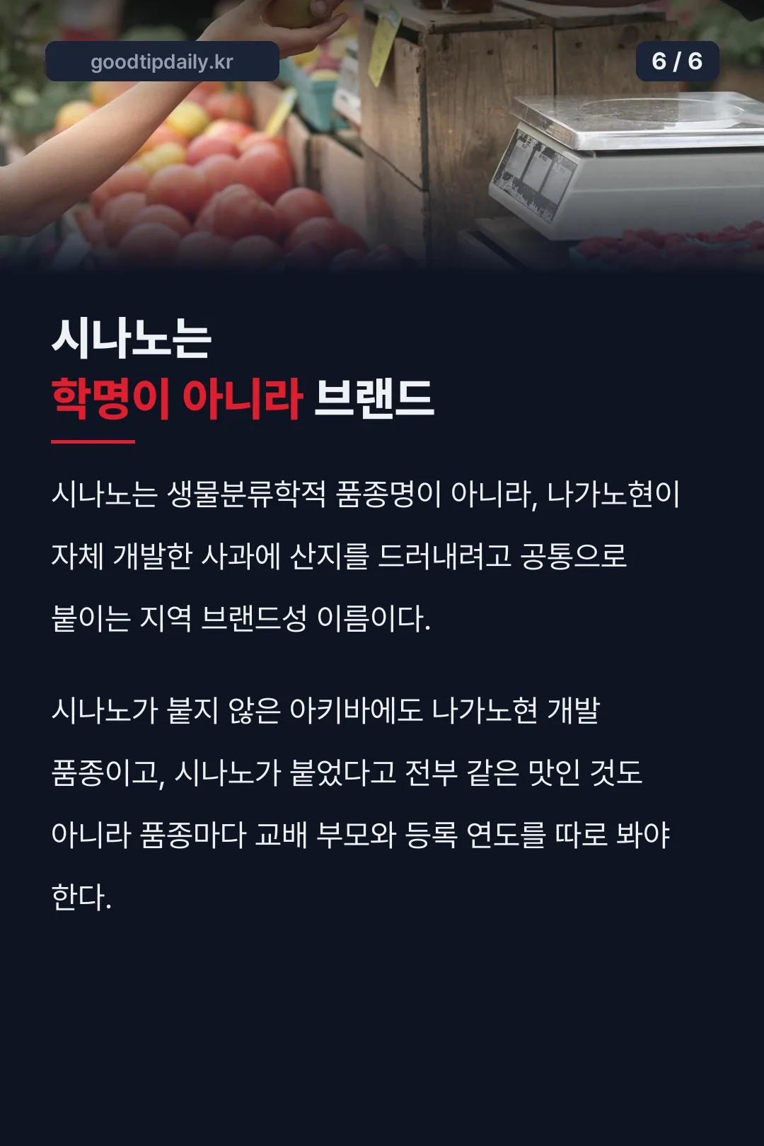시나노는 학명이 아니라 브랜드