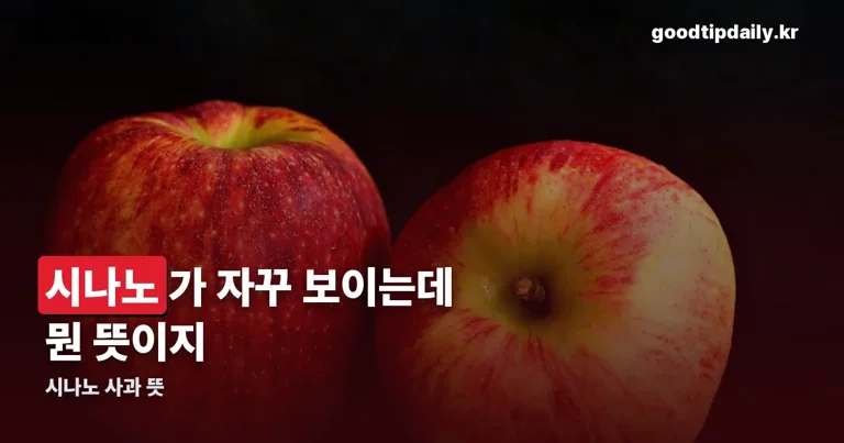 시나노 사과 뜻 정리 썸네일