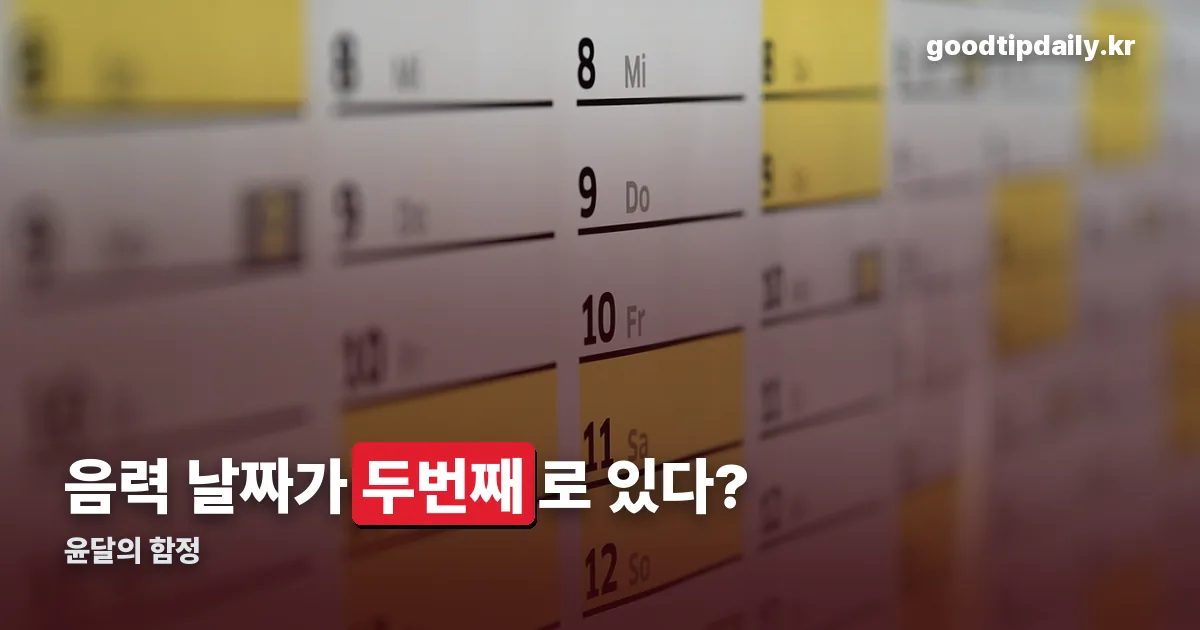 양력음력변환 정리 썸네일