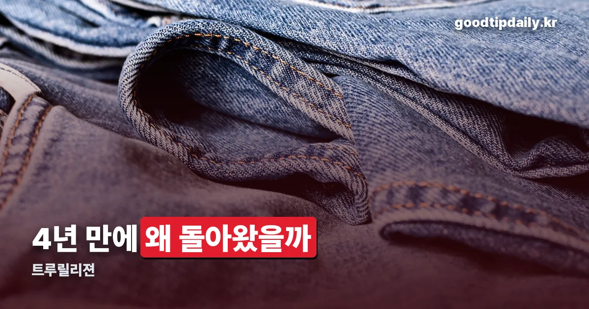 트루릴리젼 정리 썸네일